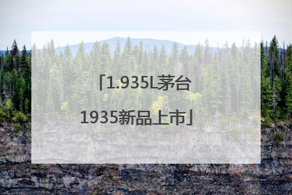 1.935L茅台1935新品上市