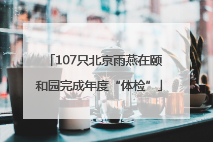 107只北京雨燕在颐和园完成年度“体检”