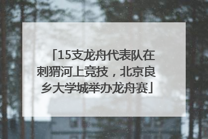 15支龙舟代表队在刺猬河上竞技，北京良乡大学城举办龙舟赛
