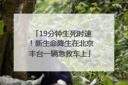 19分钟生死时速！新生命降生在北京丰台一辆急救车上