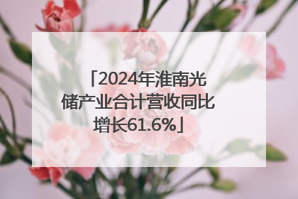 2024年淮南光储产业合计营收同比增长61.6%