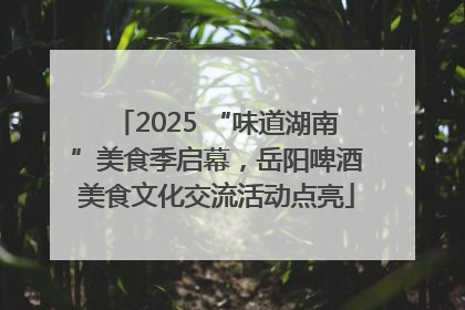 2025 “味道湖南”美食季启幕，岳阳啤酒美食文化交流活动点亮