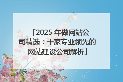 2025 年做网站公司精选：十家专业领先的网站建设公司解析