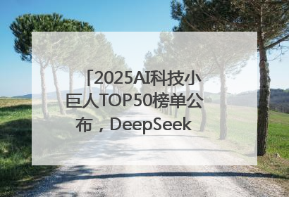 2025AI科技小巨人TOP50榜单公布，DeepSeek、宇树科技、蘑菇车联等企业荣誉上榜