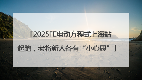 2025FE电动方程式上海站起跑，老将新人各有“小心思”