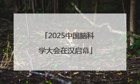 2025中国脑科学大会在汉启幕