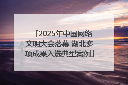 2025年中国网络文明大会落幕 湖北多项成果入选典型案例