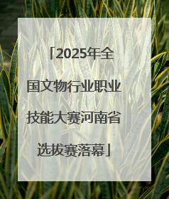 2025年全国文物行业职业技能大赛河南省选拔赛落幕