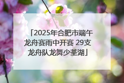 2025年合肥市端午龙舟赛雨中开赛 29支龙舟队龙舞少荃湖