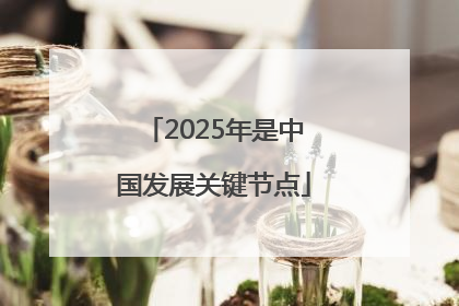 2025年是中国发展关键节点