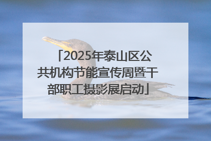 2025年泰山区公共机构节能宣传周暨干部职工摄影展启动