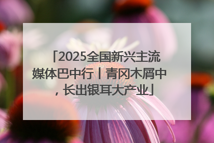2025全国新兴主流媒体巴中行丨青冈木屑中，长出银耳大产业