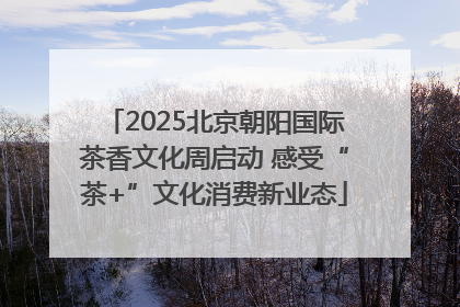 2025北京朝阳国际茶香文化周启动 感受“茶+”文化消费新业态