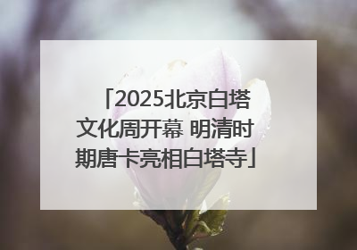 2025北京白塔文化周开幕 明清时期唐卡亮相白塔寺