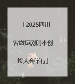 2025四川省微短剧剧本创投大会举行