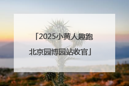 2025小黄人趣跑北京园博园站收官