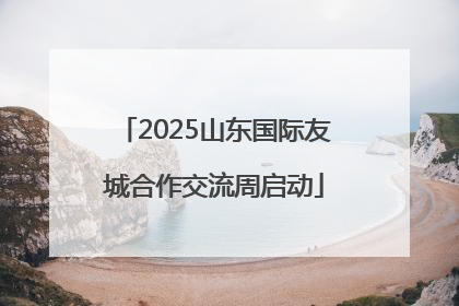 2025山东国际友城合作交流周启动