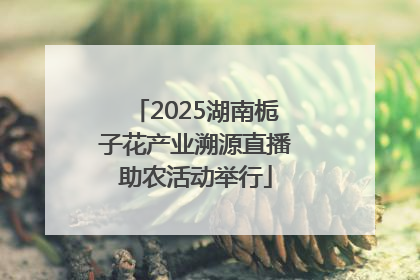 2025湖南栀子花产业溯源直播助农活动举行