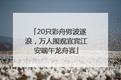 20只彩舟劈波逐浪，万人围观宜宾江安端午龙舟赛