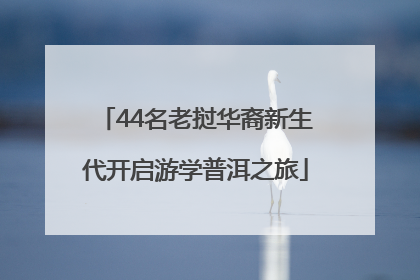 44名老挝华裔新生代开启游学普洱之旅