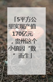 5平方公里实现产值170亿元，贵州这个小镇因“数”而生