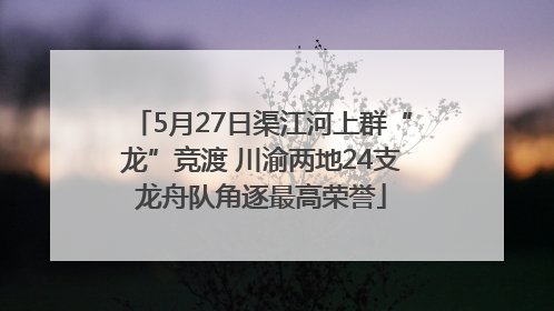 5月27日渠江河上群“龙”竞渡 川渝两地24支龙舟队角逐最高荣誉