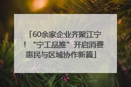 60余家企业齐聚江宁！“宁工品推”开启消费惠民与区域协作新篇