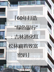 60年打造“绿色银行”：吉林通化红松林藏着致富密码