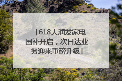 618大润发家电国补开启，次日达业务迎来重磅升级