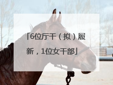 6位厅干（拟）履新，1位女干部