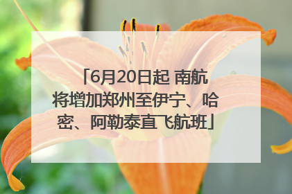 6月20日起 南航将增加郑州至伊宁、哈密、阿勒泰直飞航班