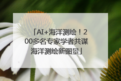 AI+海洋测绘！200多名专家学者共谋海洋测绘新图景