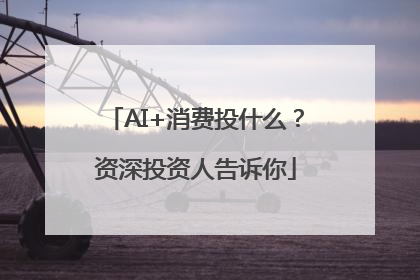 AI+消费投什么？资深投资人告诉你