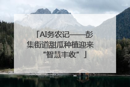 AI务农记——彭集街道甜瓜种植迎来“智慧丰收”