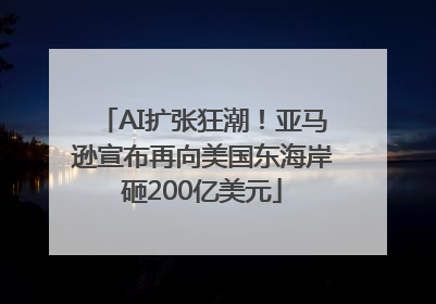 AI扩张狂潮！亚马逊宣布再向美国东海岸砸200亿美元