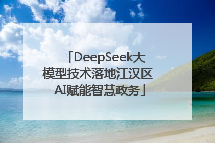 DeepSeek大模型技术落地江汉区 AI赋能智慧政务