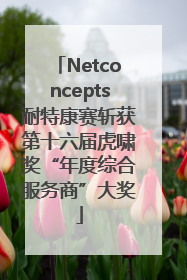 Netconcepts耐特康赛斩获第十六届虎啸奖“年度综合服务商”大奖