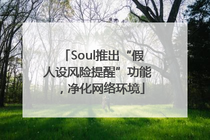 Soul推出“假人设风险提醒”功能，净化网络环境