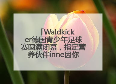 Waldkicker德国青少年足球赛圆满闭幕，指定营养伙伴inne因你陪伴少年前行
