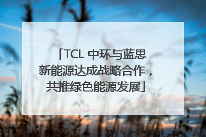 TCL 中环与蓝思新能源达成战略合作，共推绿色能源发展